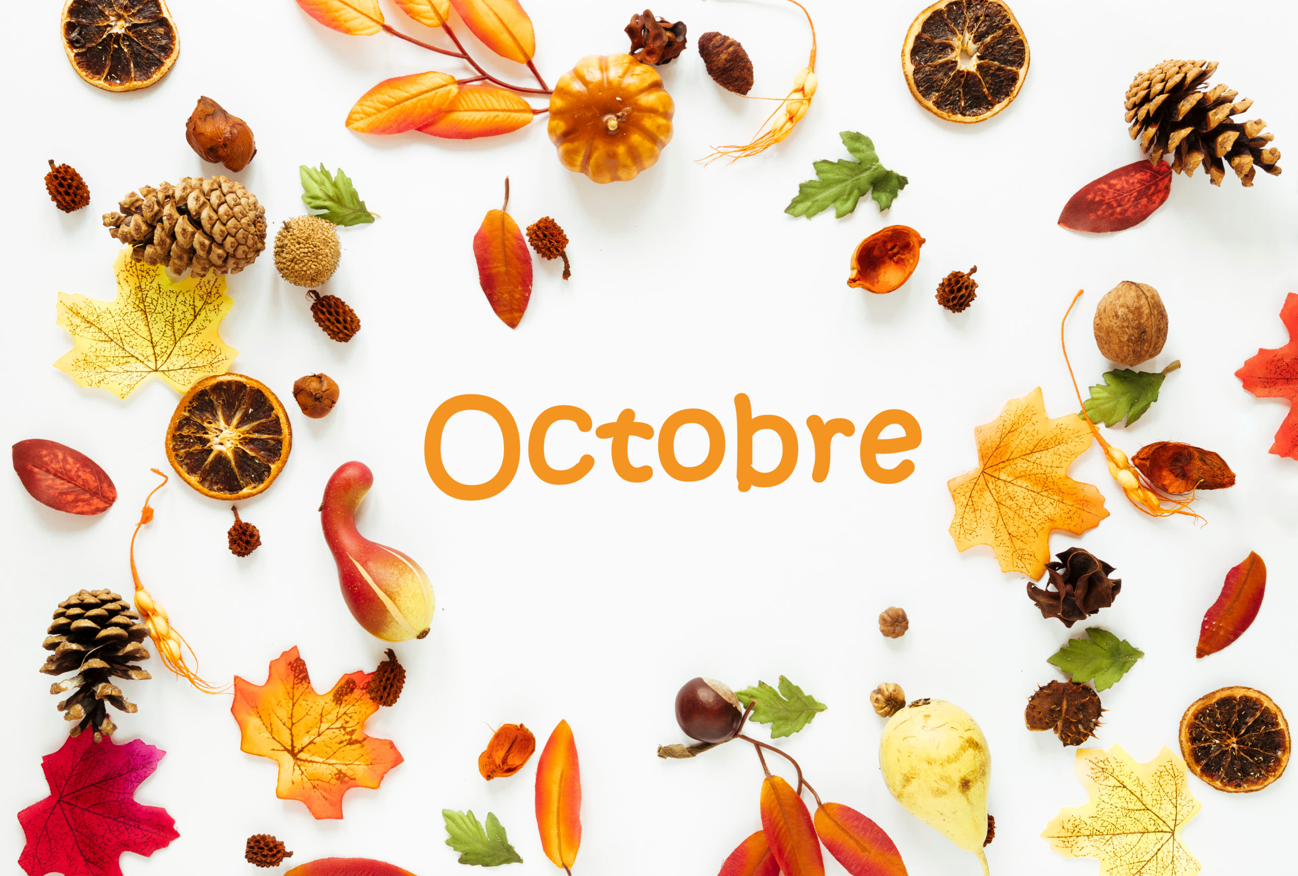 Fruits et légumes octobre